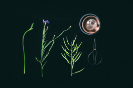  Karin Hackl Photos Foto Still Life Set Styling Evelyne Zemplenyi Produkt Fotografie