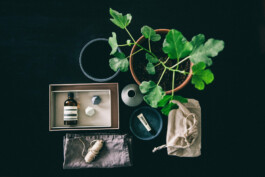  Karin Hackl Photos Foto Still Life Set Styling Evelyne Zemplenyi Produkt Fotografie