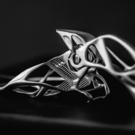 Karin Hackl Photos Fotos Cads Additive 3D Printing Doku
