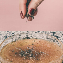 Karin Hackl Photos Fotos DIY Photography Docu Set Styling Carpe Diem Magazin