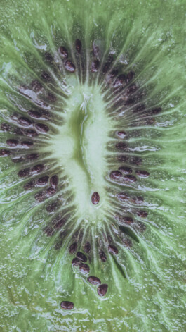  Karin Hackl Photos Concept Muschi Hommage