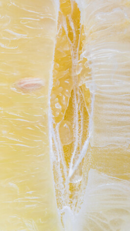  Karin Hackl Photos Concept Muschi Hommage