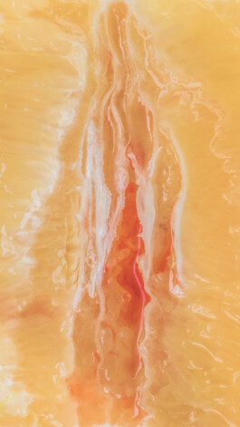  Karin Hackl Photos Concept Muschi Hommage