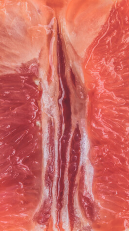  Karin Hackl Photos Concept Muschi Hommage