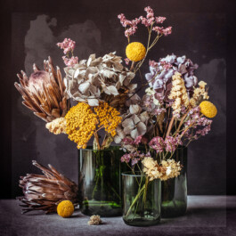  Karin Hackl Photos Still Life Photography