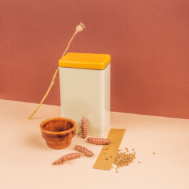  Karin Hackl Photos Foto Still Life Set Styling Evelyne Zemplenyi Produkt Fotografie