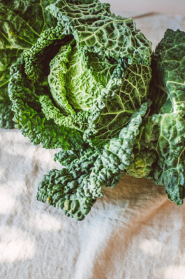 Karin Hackl Photos Fotos Food Photography Kochbuch Pascale Neuens TCM Küche Set Styling Attersee Wien