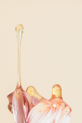  Karin Hackl Photos Still Life Photography