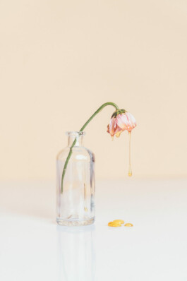  Karin Hackl Photos Still Life Photography