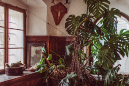  Karin Hackl Photos Artist Lena Göbel Homestory