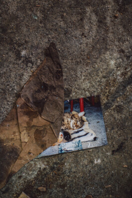  Karin Hackl Photos Artist Lena Göbel Homestory