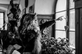  Karin Hackl Photos Artist Lena Göbel Homestory