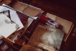  Karin Hackl Photos Artist Lena Göbel Homestory