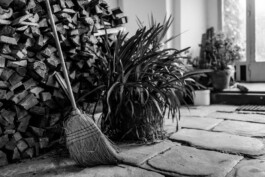  Karin Hackl Photos Artist Lena Göbel Homestory