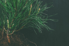  Karin Hackl Photos Still Life Photography Produkt Docu Looops Kerzen Manufaktur