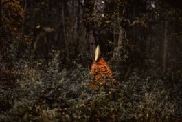  Karin Hackl Photos Objekt Fotografie Art Artist Linz Attersee