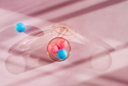  Karin Hackl Photos Still Life Photography balls in color natural light