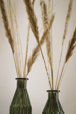  Karin Hackl Photos Business Portraits Werbe Fotografie