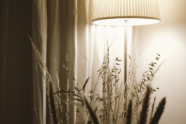  Karin Hackl Photos Business Portraits Werbe Fotografie