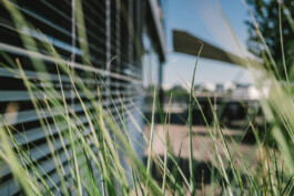 Karin Hackl Businessfotografie Businessportraits Werbefotografie