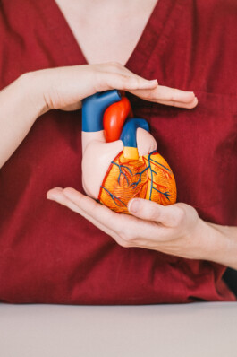 Karin Hackl Werbefotografie Imagefotografie Businessfotografie