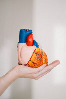 Karin Hackl Werbefotografie Imagefotografie Businessfotografie