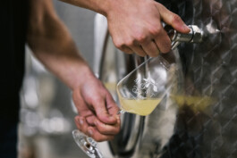  Karin Hackl Werbefotografie Imagefotografie Businessfotografie