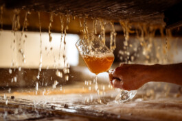  Karin Hackl Werbefotografie Imagefotografie Businessfotografie