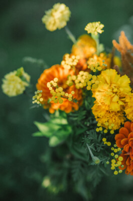 Karin Hackl Werbefotografie Imagefotografie Businessfotografie