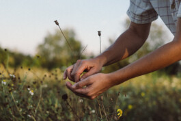 Karin Hackl Werbefotografie Imagefotografie Businessfotografie