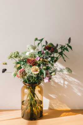 Karin Hackl Werbefotografie Imagefotografie Businessfotografie