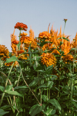 Karin Hackl Werbefotografie Imagefotografie Businessfotografie