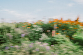 Karin Hackl Werbefotografie Imagefotografie Businessfotografie